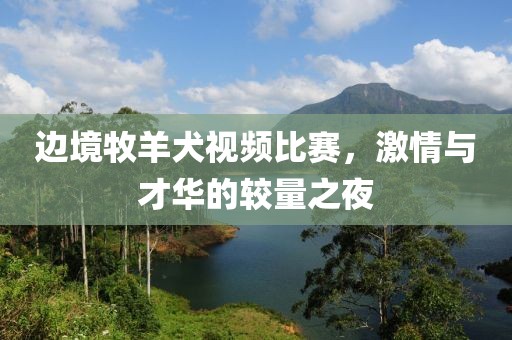 边境牧羊犬视频比赛，激情与才华的较量之夜