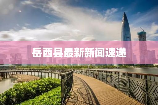 岳西县最新新闻速递