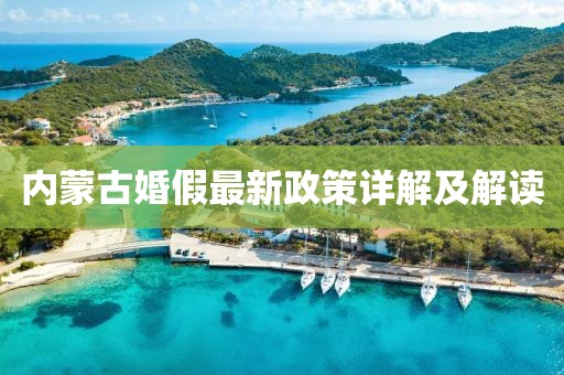 白云下的棉絮 第3页