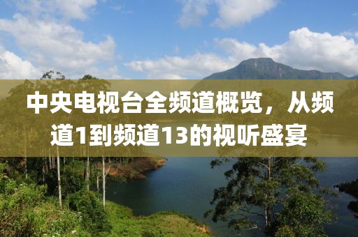 中央电视台全频道概览，从频道1到频道13的视听盛宴
