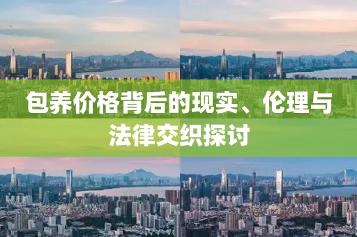 包养价格背后的现实、伦理与法律交织探讨