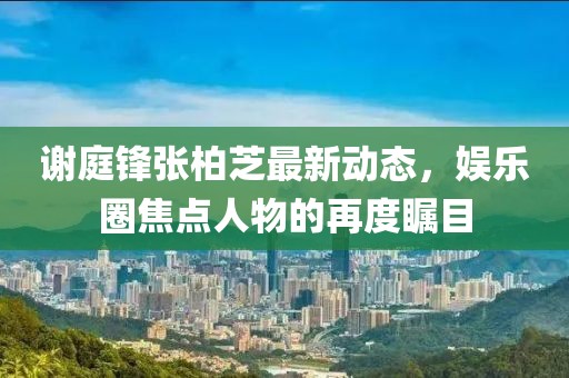 谢庭锋张柏芝最新动态，娱乐圈焦点人物的再度瞩目
