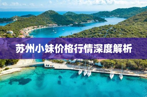 苏州小妹价格行情深度解析