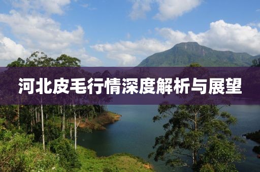 暗中人 第3页