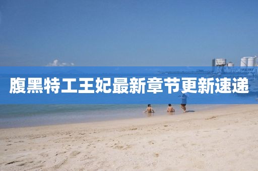腹黑特工王妃最新章节更新速递