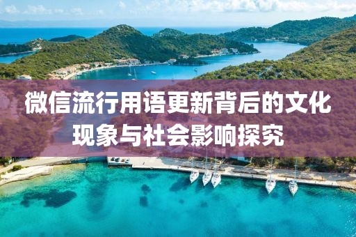 微信流行用语更新背后的文化现象与社会影响探究