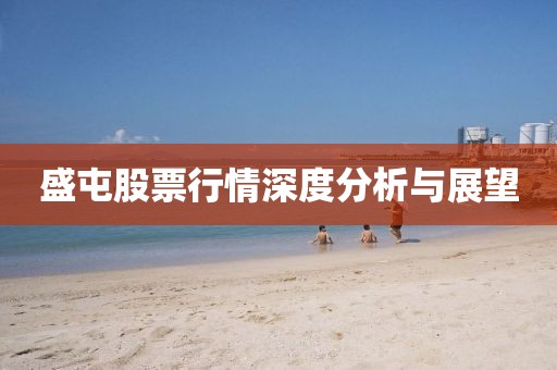 盛屯股票行情深度分析与展望