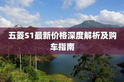 五菱S1最新价格深度解析及购车指南