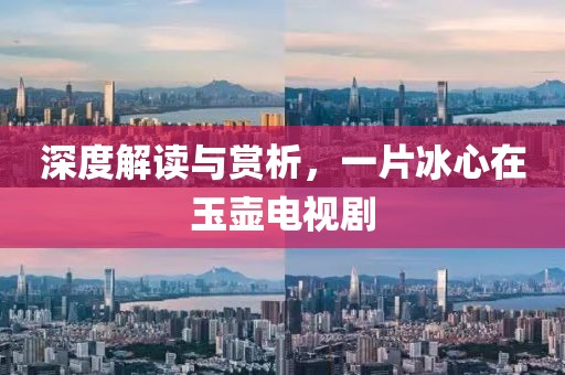 深度解读与赏析，一片冰心在玉壶电视剧