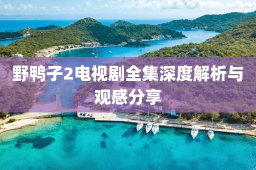 野鸭子2电视剧全集深度解析与观感分享