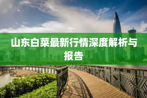 山东白菜最新行情深度解析与报告