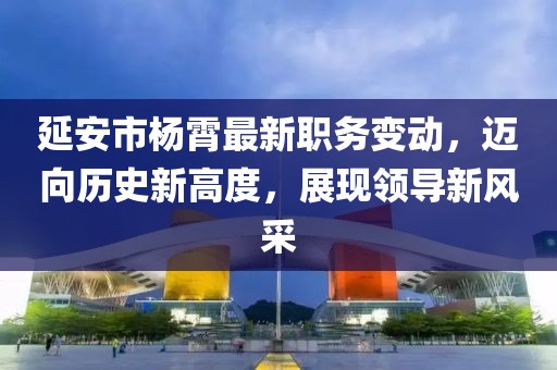 延安市杨霄最新职务变动，迈向历史新高度，展现领导新风采