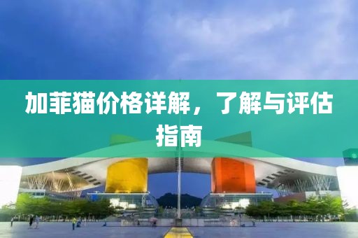 加菲猫价格详解，了解与评估指南