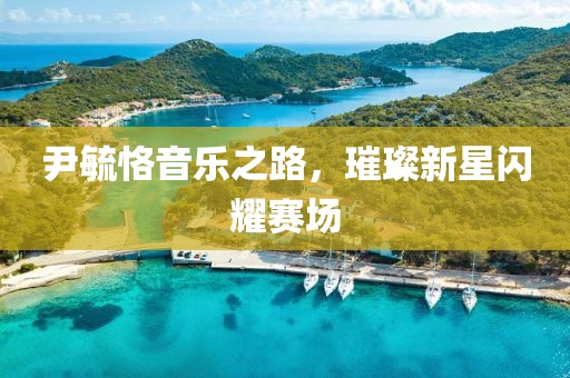尹毓恪音乐之路，璀璨新星闪耀赛场