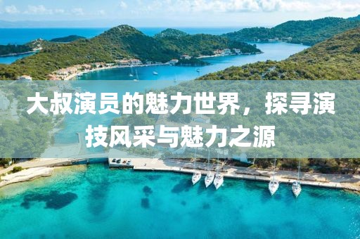 大叔演员的魅力世界，探寻演技风采与魅力之源