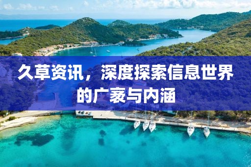久草资讯，深度探索信息世界的广袤与内涵