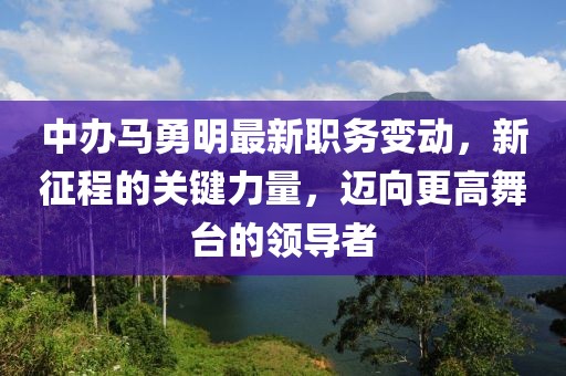 中办马勇明最新职务变动，新征程的关键力量，迈向更高舞台的领导者