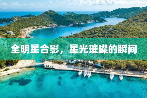 全明星合影，星光璀璨的瞬间