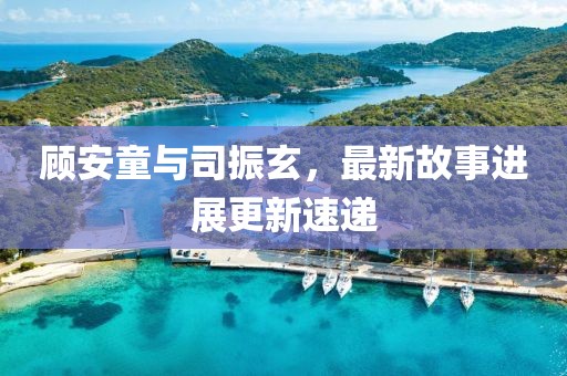 顾安童与司振玄，最新故事进展更新速递