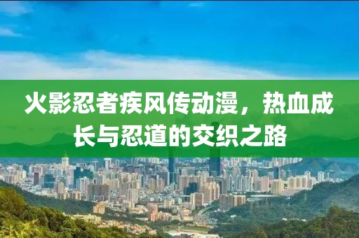 火影忍者疾风传动漫，热血成长与忍道的交织之路
