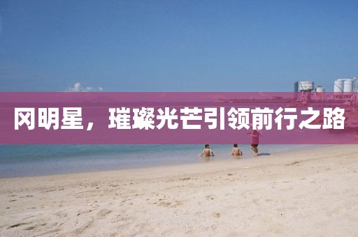 冈明星，璀璨光芒引领前行之路
