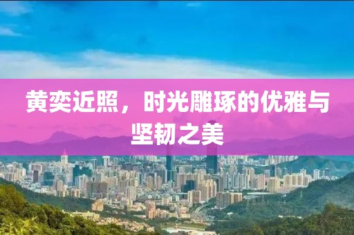 黄奕近照，时光雕琢的优雅与坚韧之美