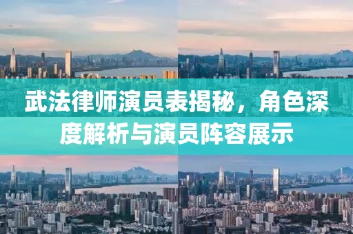 武法律师演员表揭秘，角色深度解析与演员阵容展示