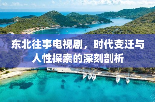 东北往事电视剧，时代变迁与人性探索的深刻剖析