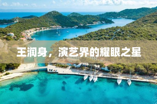 王润身，演艺界的耀眼之星