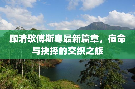 顾清歌傅斯寒最新篇章，宿命与抉择的交织之旅