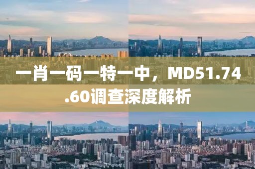 一肖一码一特一中，MD51.74.60调查深度解析