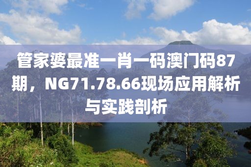 管家婆最准一肖一码澳门码87期，NG71.78.66现场应用解析与实践剖析