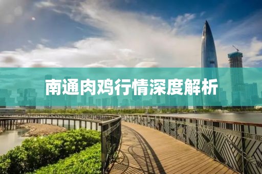 南通肉鸡行情深度解析