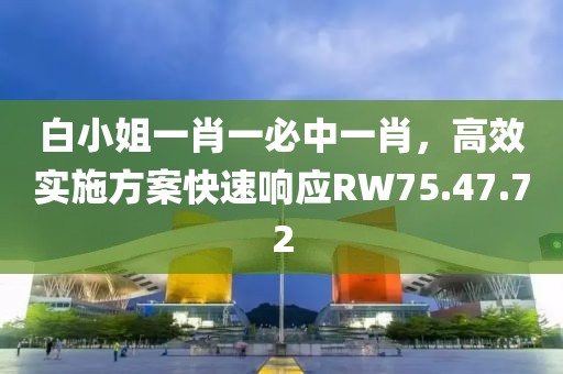 白小姐一肖一必中一肖，高效实施方案快速响应RW75.47.72