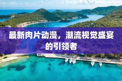 最新肉片动漫，潮流视觉盛宴的引领者