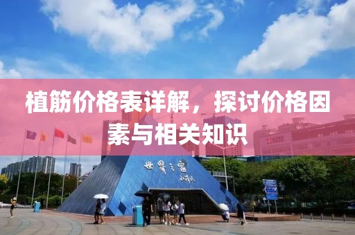 植筋价格表详解，探讨价格因素与相关知识