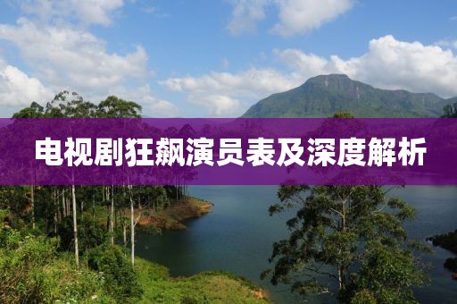 电视剧狂飙演员表及深度解析