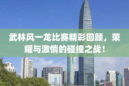 武林风一龙比赛精彩回顾，荣耀与激情的碰撞之战！