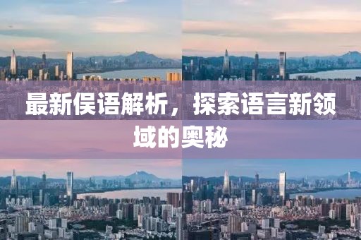 最新俣语解析，探索语言新领域的奥秘