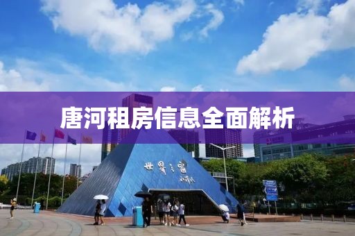 唐河租房信息全面解析