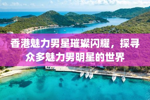 香港魅力男星璀璨闪耀，探寻众多魅力男明星的世界