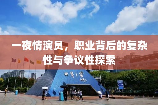 一夜情演员，职业背后的复杂性与争议性探索