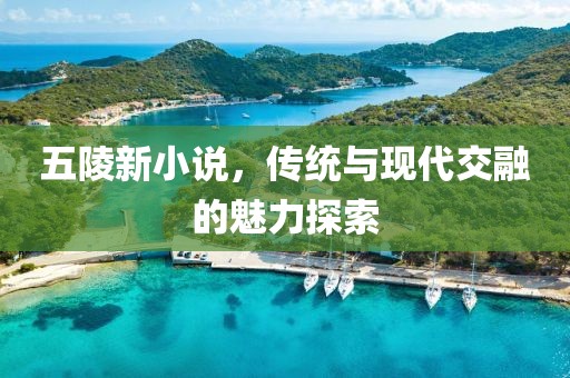 五陵新小说，传统与现代交融的魅力探索