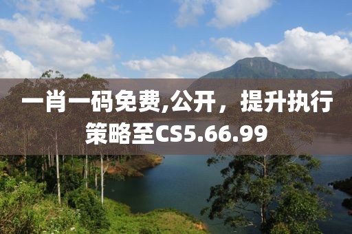一肖一码免费,公开，提升执行策略至CS5.66.99