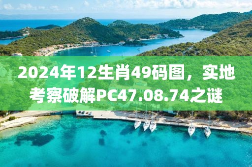 2024年12生肖49码图，实地考察破解PC47.08.74之谜