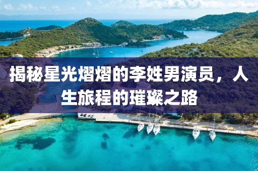 揭秘星光熠熠的李姓男演员，人生旅程的璀璨之路