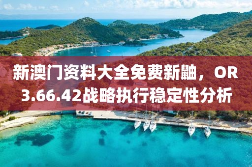 新澳门资料大全免费新鼬，OR3.66.42战略执行稳定性分析