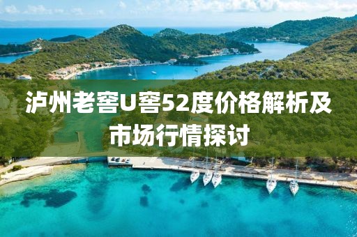 泸州老窖U窖52度价格解析及市场行情探讨
