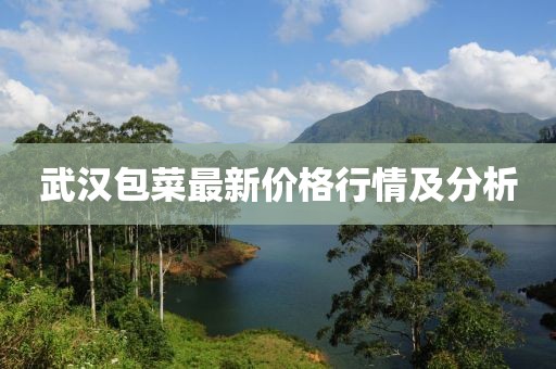 武汉包菜最新价格行情及分析