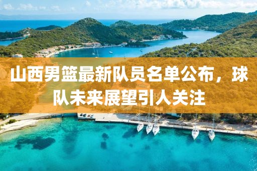 山西男篮最新队员名单公布，球队未来展望引人关注